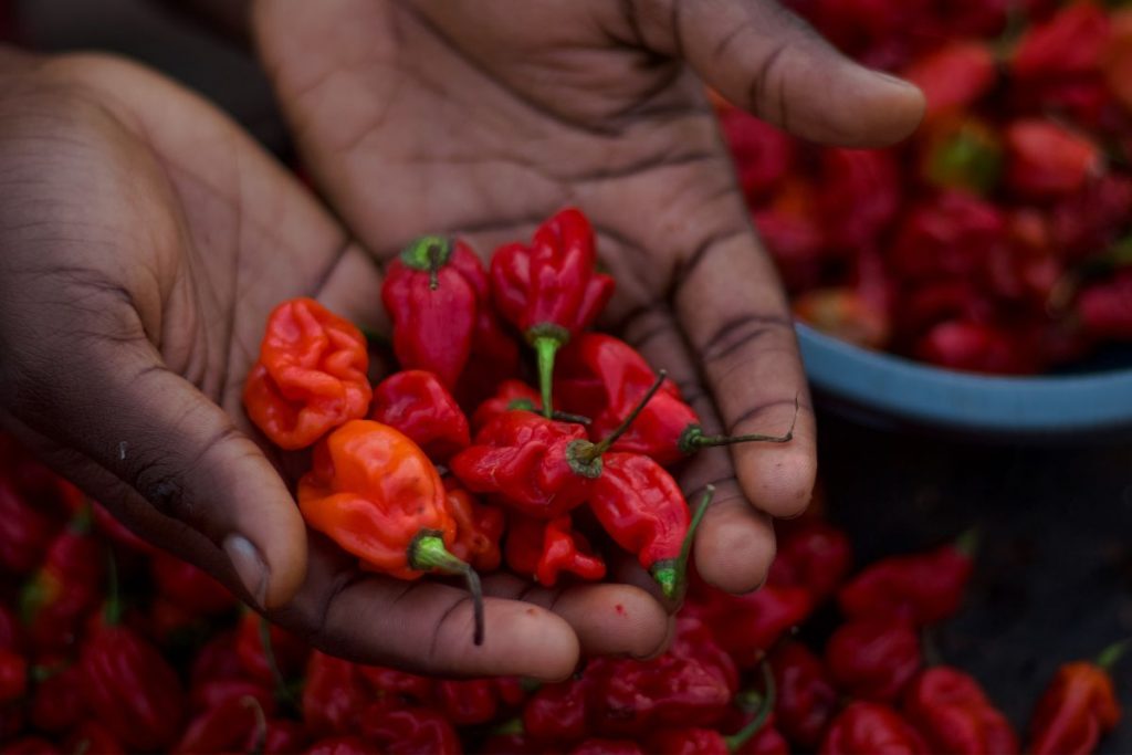 le piment, un ingrédient clef de la gastronomie guyanaise