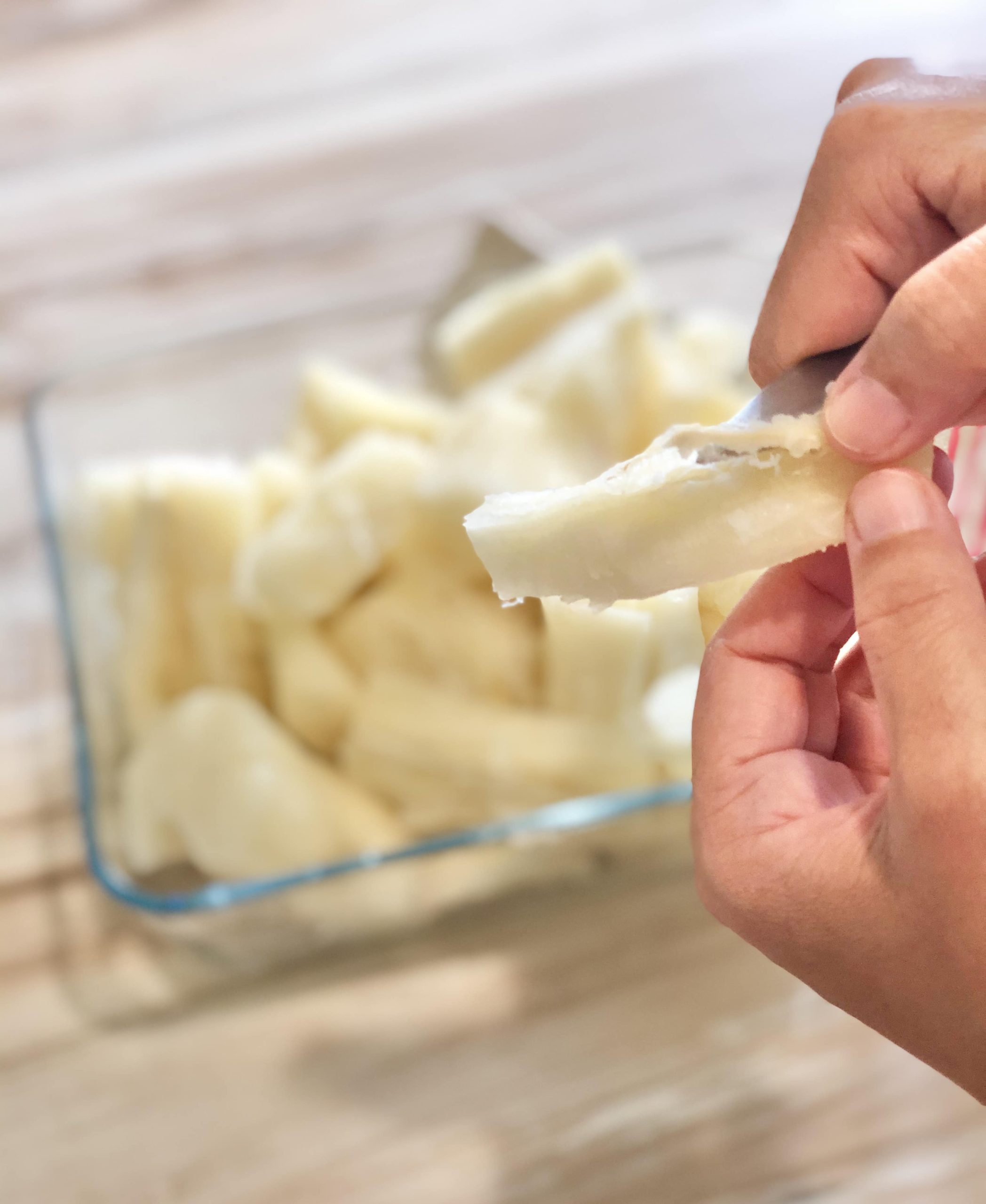 Tige fibreuse du manioc